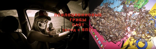 прущая мука Лагань