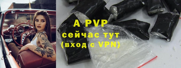 шишки Ладушкин