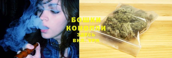 шишки Ладушкин