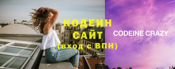 дживик Пенза
