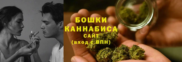 шишки Ладушкин