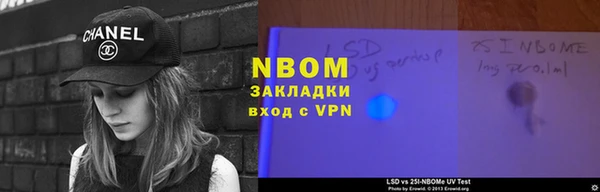 шишки Ладушкин