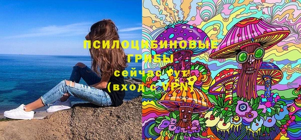 шишки Ладушкин