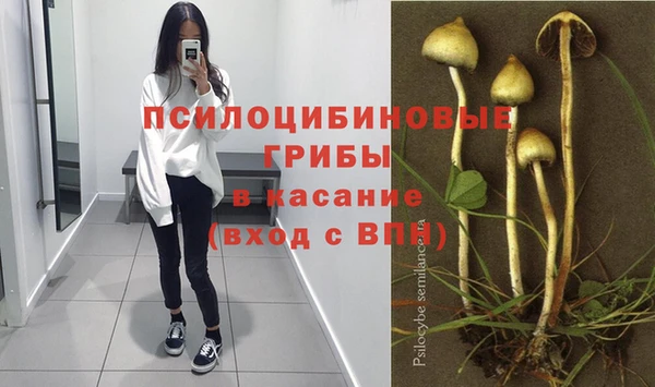 мескалин Лабытнанги