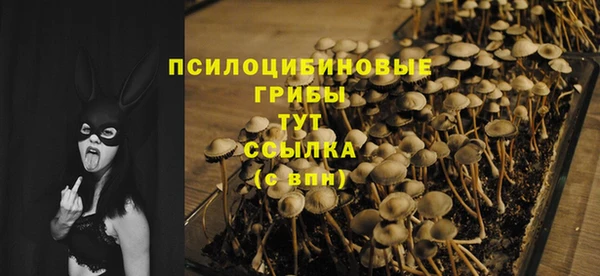 шишки Ладушкин