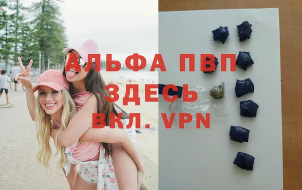 шишки Ладушкин